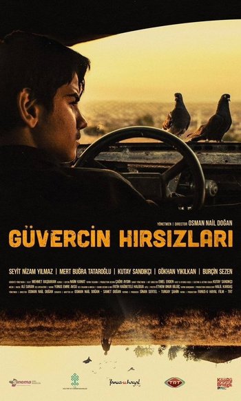 Güvercin Hırsızları