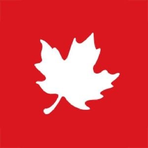 Warner Bros Discovery Faces Bidding War As SBI Holdings Aligns Leadership