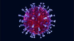 COVID-19 Beyni Etkiliyor mu?