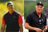 Tiger Woods' TGL Gets Seal of Approval as Greg Norman's Model Unlocks PGA Tour Pro's 'Better' Version