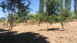 EŞİMİZLE İLETİŞİM KURMAK