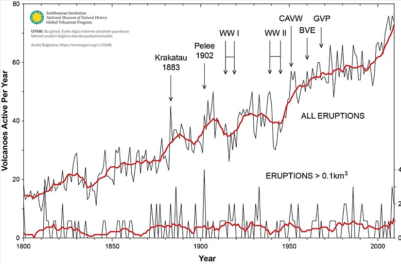 Görsel 1: 1800 yılından beri aktifleştiği raporlanan volkan sayısını gösteren grafik. Yıla bağlı olarak patladığı raporlanan volkanların toplam sayısı (üstteki siyah ince çizgi) ve aynı verinin 10 yıllık süregelen ortalaması (kalın kırmızı çizgi). Aşağıdaki çizgiler, sadece büyük patlamaların (0.1 kilometreküpten büyük tefra veya magma üretenlerin) yıllık sayısını göstermektedir. Skala, sağ eksende büyütülmüştür. Alttaki kırmızı çizgi de 10 yıllık süregelen ortalamayı göstermektedir. Bu grafik, makalede anlattığımız bağlam dışında kullanılmamalıdır.