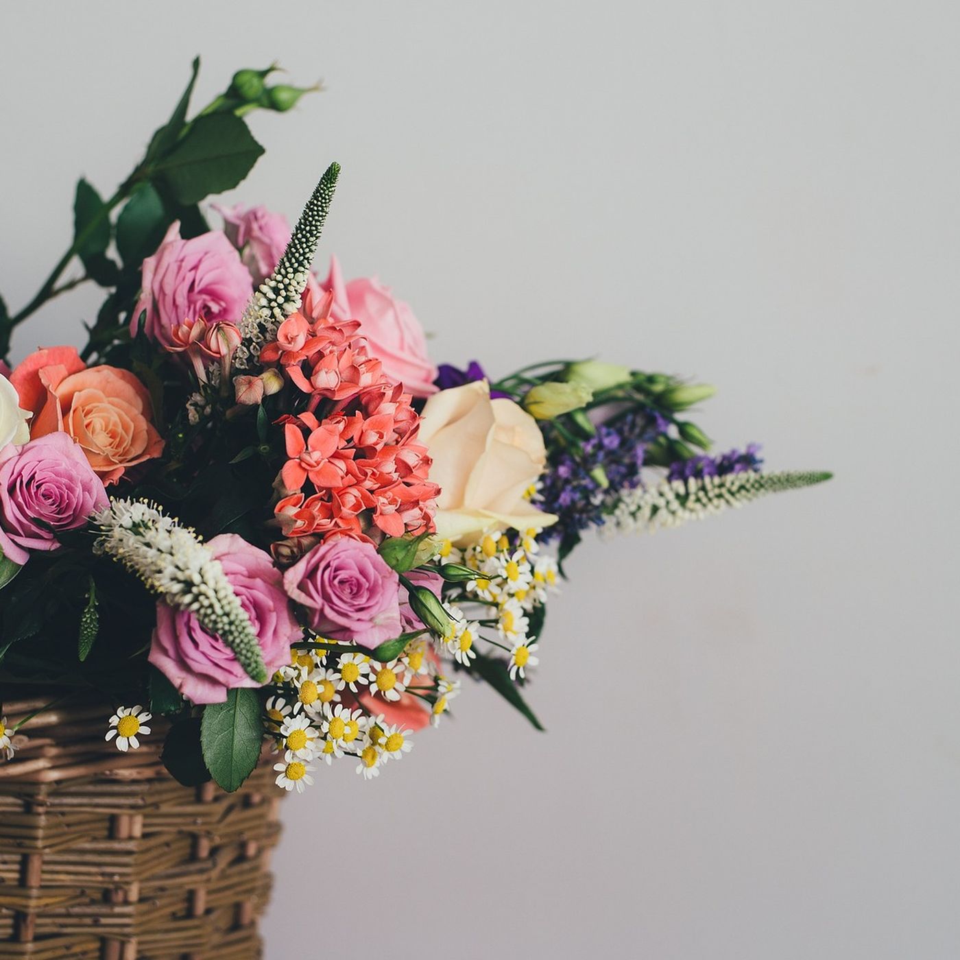 Kesilmiş Çiçekleri, Bilimi Kullanarak Nasıl Daha Canlı Gösterebilirsiniz?