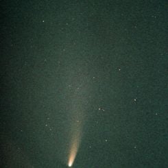 Comet NEAT in Southern Skies