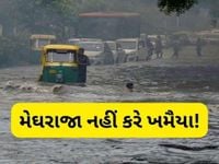 કડાકા-ભડાકા અને ગાજવીજ સાથે વરસાદની આગાહી, હજુ આ જિલ્લાઓમાં છે ખતરો