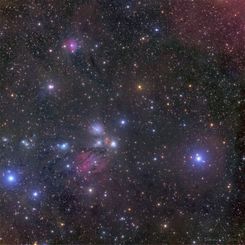 NGC 2170: Celestial Still Life