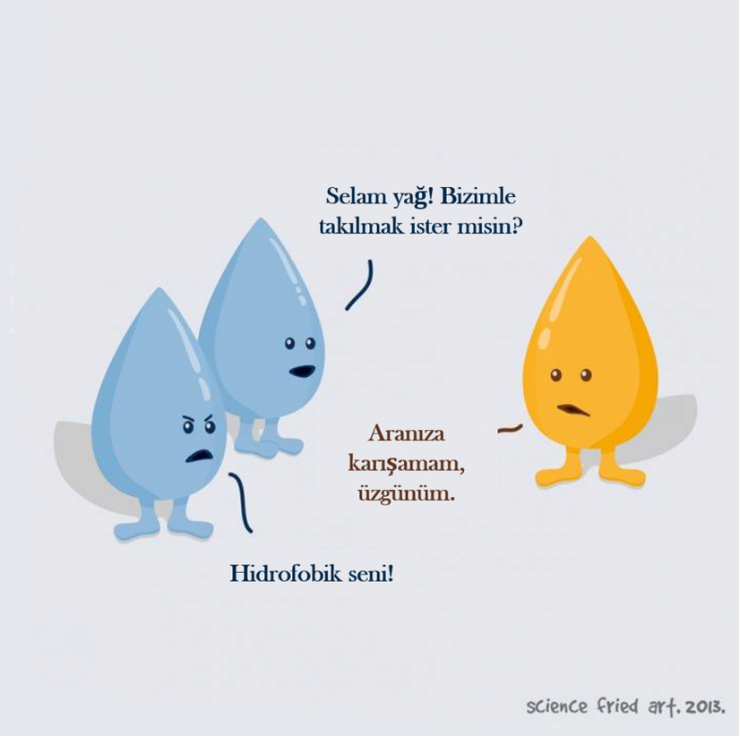 Konuyu bilmeyenler için, yağ molekülleri hidrofobik (sudan korkan) yapıda olduğundan, yağ ile suyu bir araya koyduğunuzda, karışmayacaklardır. Hatta yaşamın cansızlıktan evriminde bu özelliğin çok kritik rolleri bulunmaktadır.