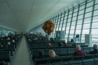 Thanksgiving Travel: Airlines Adjust for Record Passenger Numbers, Here’s All You Need to Know - Travel And Tour World