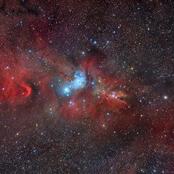 Tilki Kürkü, Tek Boynuzlu At ve Noel Ağacı