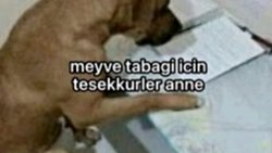 Bu kadar stres normal mi ?