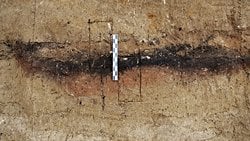 Buzul Çağında Atalarımızın Ateşi Ustalıkla Yönettiği Ortaya Çıktı!