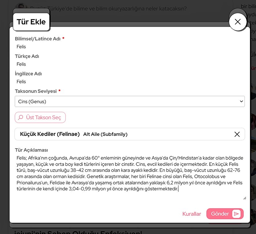 Taksonumuzun girilmeye hazır, son hâli.