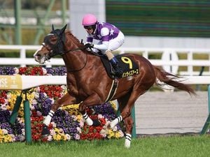 Hanshin Daishoten: Horses Gear Up For Major Racing Challenge