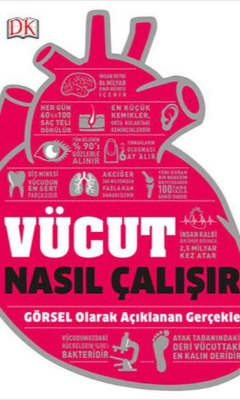 Vücut Nasıl Çalışır