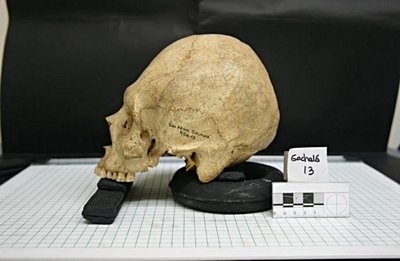 Evrim'i Destekleyen/Kullanan Bilimler - 6: Antropoloji