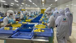 Vietnam's Agricultural Processing Investment Grows Significantly