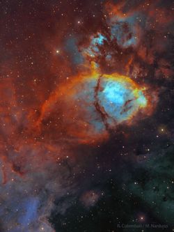 IC 1795: Balık Kafası Bulutsusu