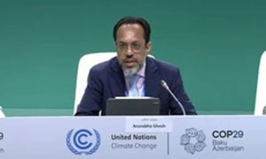 G20 Commits To Robust Climate Finance For COP29