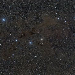  Barnard 228: The Dark Wolf Nebula in Lupus 