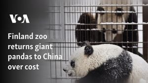 Finland Zoo Ends Panda Lease Early Due To Costs