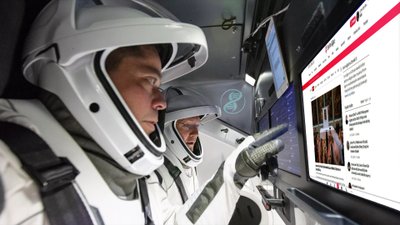 Evrim Ağacı 2020 Yılı İstatistikleri ve Etkinlik Raporu