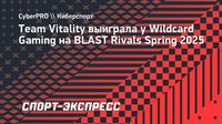Team Vitality выиграла у Wildcard Gaming на BLAST Rivals Spring 2025