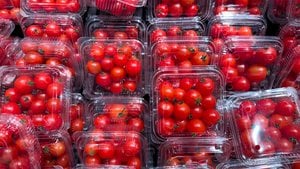 Plastiklerde Bulunan Bir Kimyasal, Kalp Hastalığı Kaynaklı Ölümlerle Bağlantılı Olabilir!