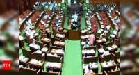 Lawmakers give themselves 100% pay hike in Karnataka | India News - The Times of India