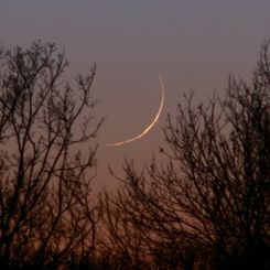 A Twilight Occultation