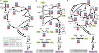 Comprehensive evaluation of the capacities of microbial cell factories - Nature Communications