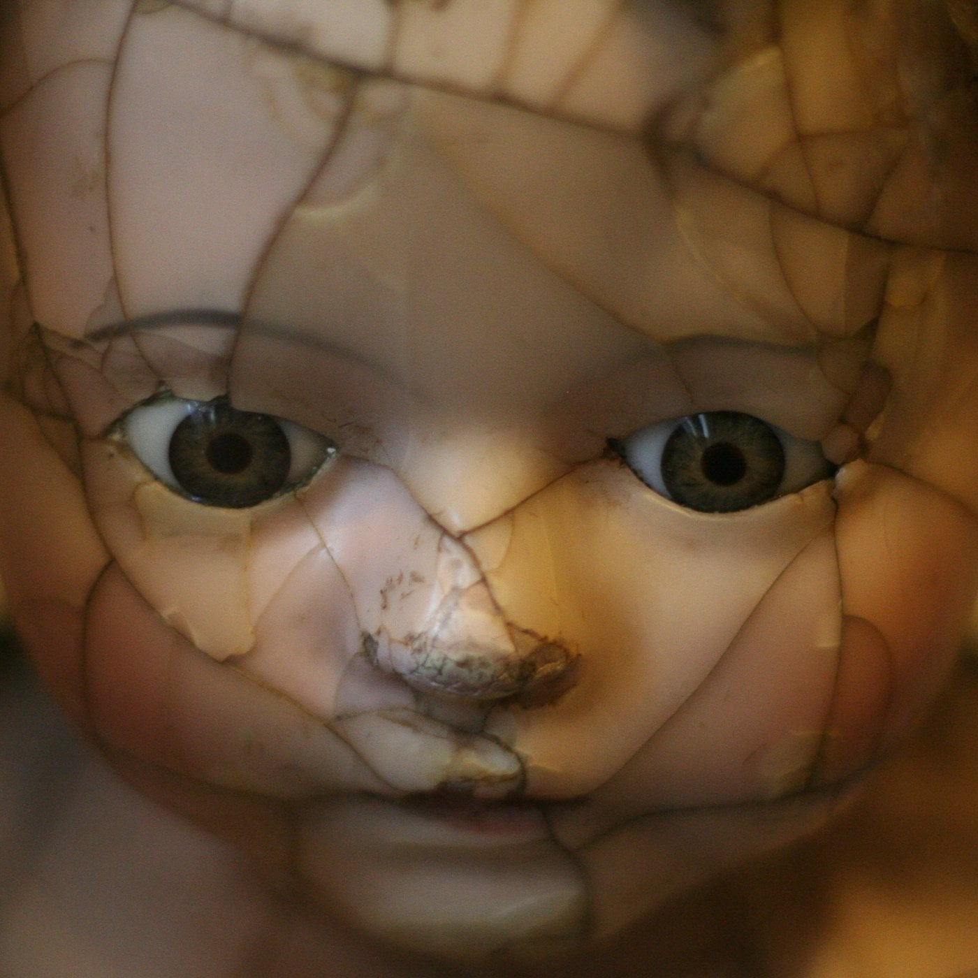 Evrim Ağacı ile Bilime Dair Her Şey!