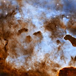 Dark Clouds of the Carina Nebula