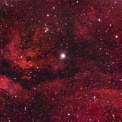 Central Cygnus