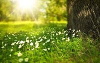 Prognoza pogody dla Pomorza na Wielką Sobotę, Niedzielę Wielkanocną i Poniedziałek Wielkanocny. 19–21 kwietnia 2025