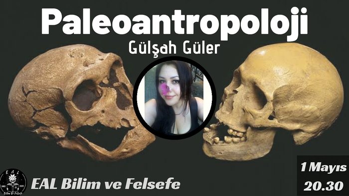 EAL Bilim / Paleoantropoloji / Gülşah Güler