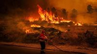 Four dead from devastating fires in Iberian peninsula, former mayor killed in Portugal protecting homes