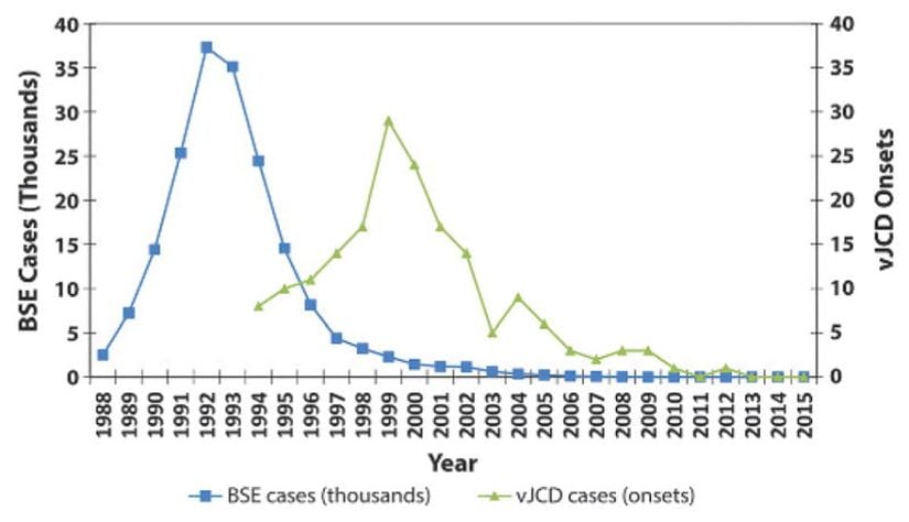 Birleşik Krallık sığır spongiform ensefalopati vakalarının sayısı (1988-2015) ve birleşik Krallık varyantı Jacob-Creutzfeldt hastalığı başlangıcı arasındaki zamansal ilişkiyi gösteren grafik; Sığır spongiform ensefalopati vakaları azalırken, Jakob-Creutzfeldt hastalığı vakaları da azalmıştır.