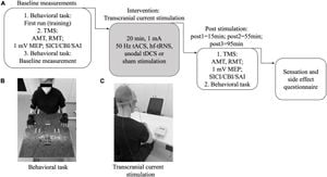 Cerebellar Stimulation Enhances Quality Of Life For Stroke Survivors