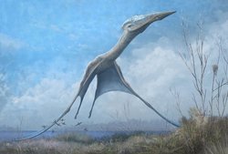 İskoçya'da Yeni Bir Teruzor Türü Keşfedildi!