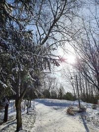 [오늘의 전북 날씨] 고창·부안 제외 '대설주의보', 전 지역 '강풍주의보'까지...빙판길·시설물 피해 '주의'