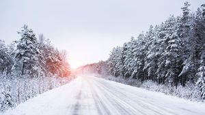 Cold Spell And Flu Surge Hit Netherlands