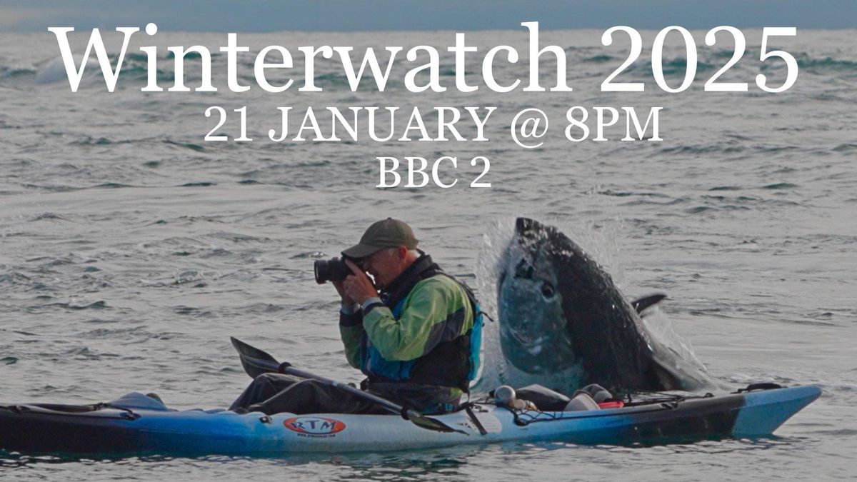 Winterwatch 2025 Returns With Nature Broadcasts From Dorset The