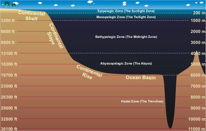 Işığa Göre Deniz Katmanları