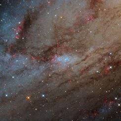 NGC 206 ve Andromeda'nın Yıldız Bulutları