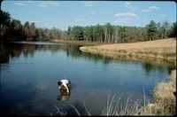Living on Earth: EPA Shutting Down Independent Research