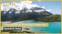 Thousands of dinosaur footprints found in Italy