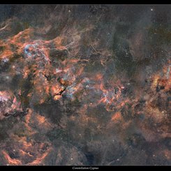 Kuğu Mozaiği 2010–2020