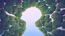 Anormal Davranışı Anlamak: Tek Bir Neden Yeterli Mi?