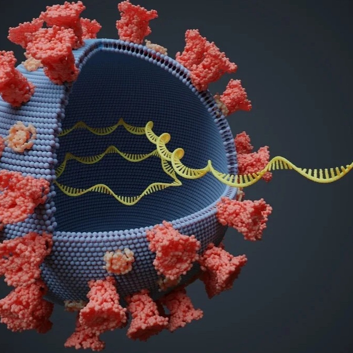 Evrim Ağacı ile Bilime Dair Her Şey!