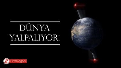 Dünya Yalpalıyor: Dünya'nın Üçüncü Hareketi Presesyon